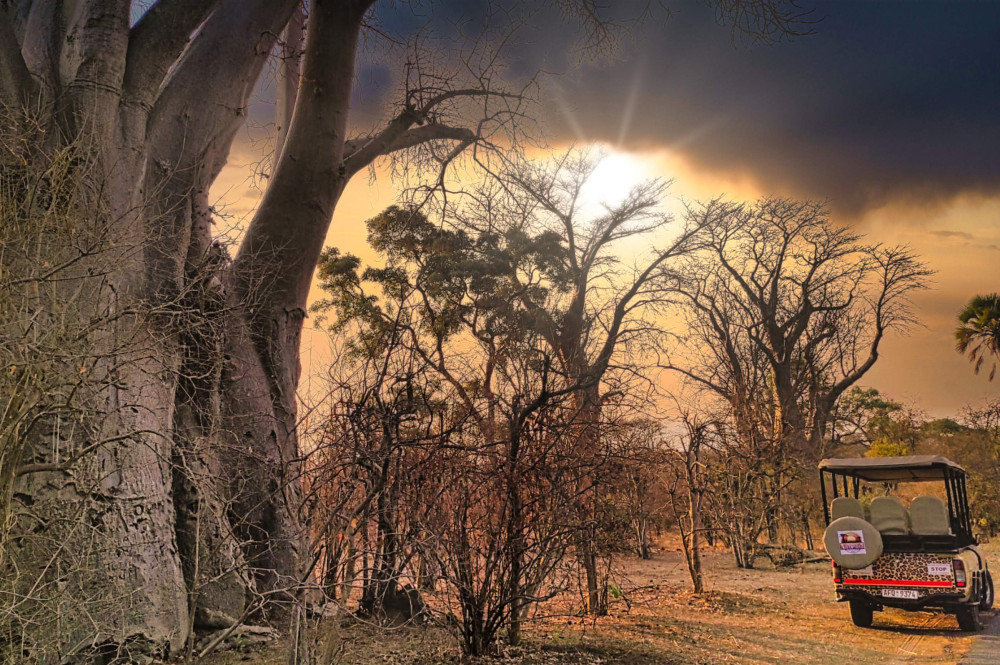 4x4 Safari Adventure in Zambezi NP Zimbabwe