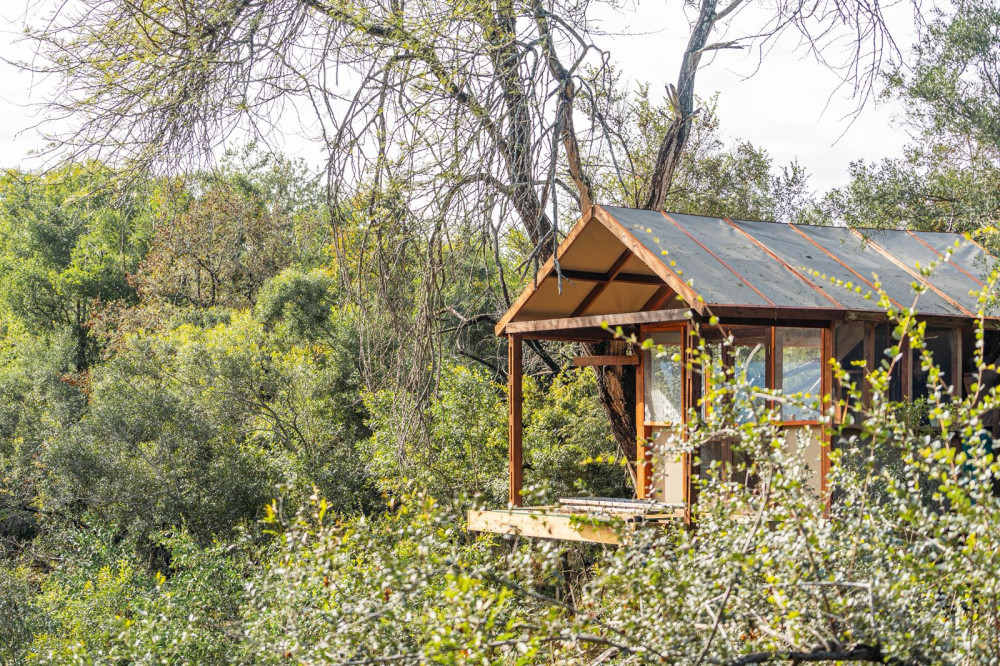 Exclusive Ndzhaka Tented Camp Safari