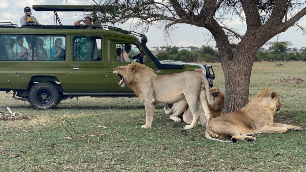 Fly in & out of Zanzibar to Serengeti & Ngorongoro
