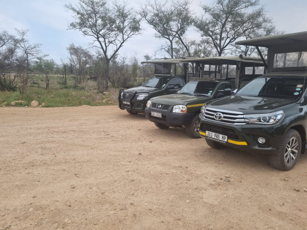 Private Kruger National Park Open-Vehicle Safari
