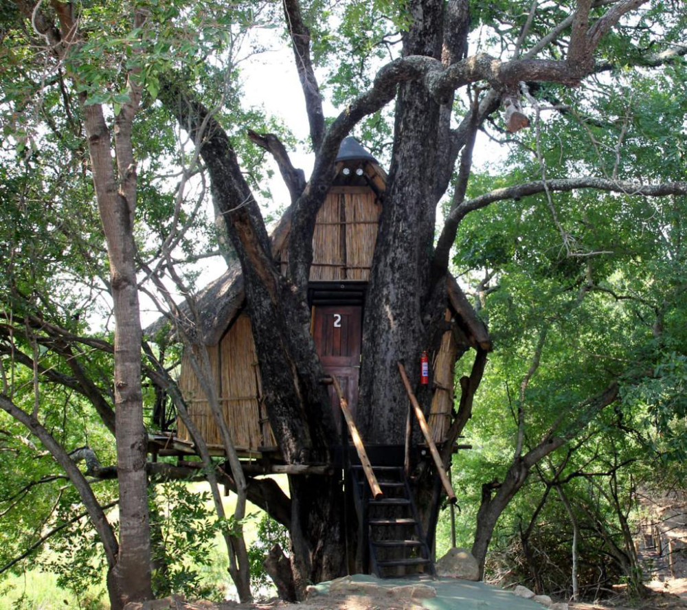 Greater Kruger Park Treehouse Lodge Safari