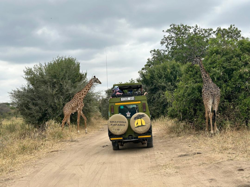 Couple Safari - Serengeti & Ngorongoro - Comfort