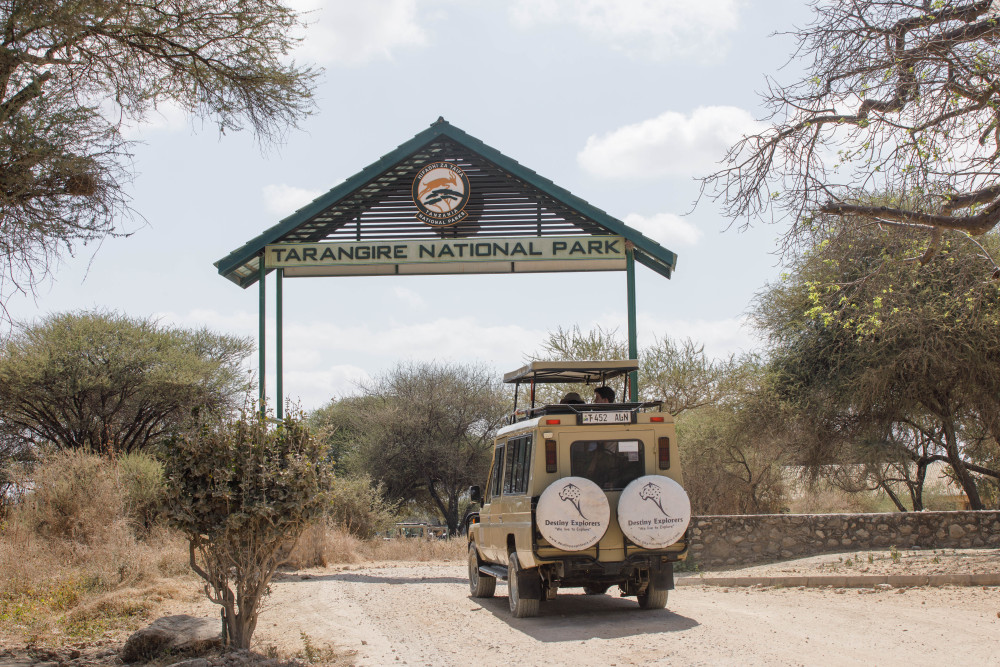 Ngorongoro Crater & Serengeti National Park Safari
