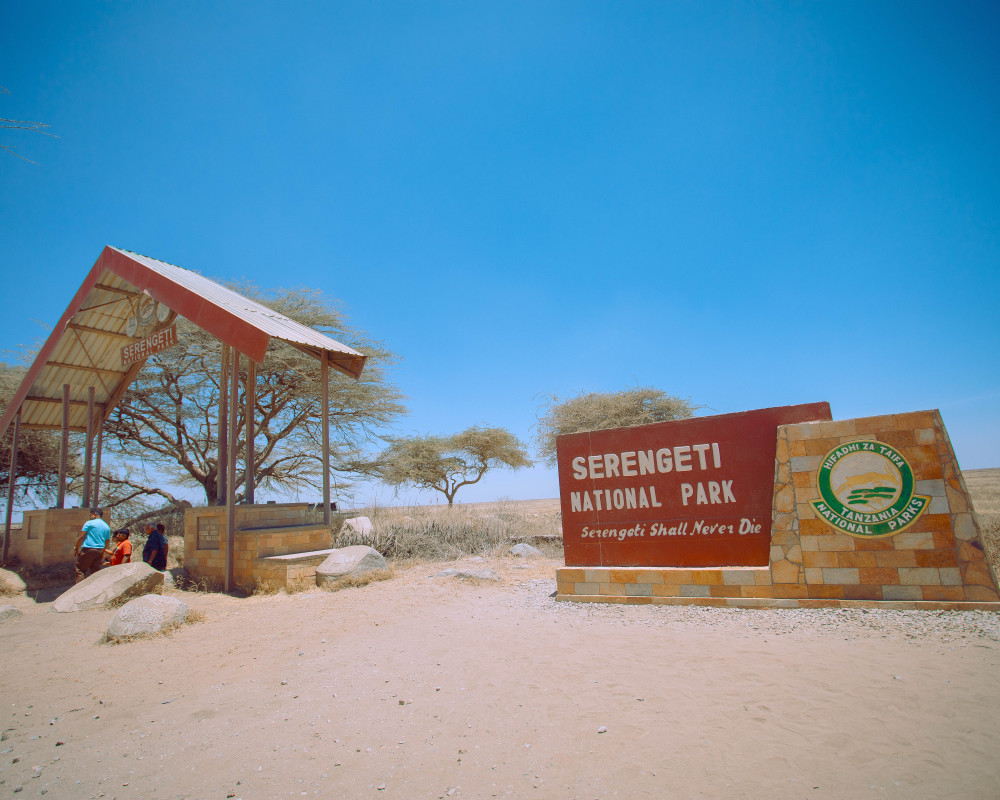 Guided Tanzania Safari