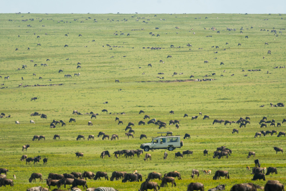 Tanzania Great Migration Safari - River Crossing