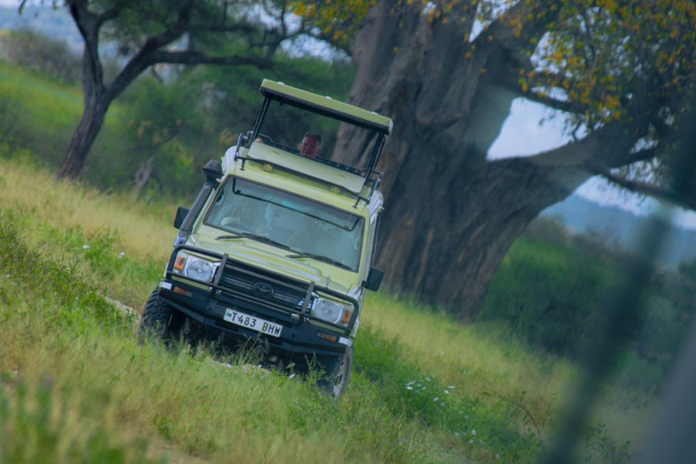 Joining Group Lake Manyara Ngorongoro with Flight