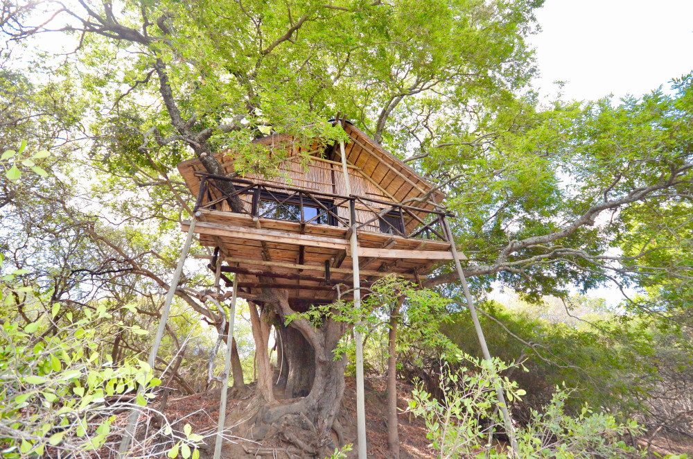 Tremisana/Treehouse Kruger Park Safari