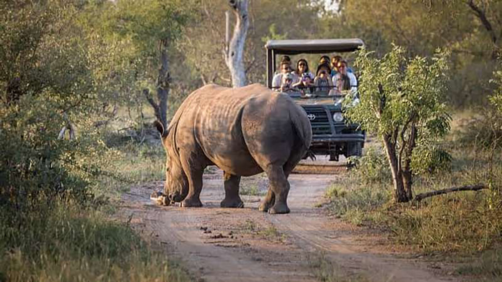 Kruger Park and Panorama Adventure Safari