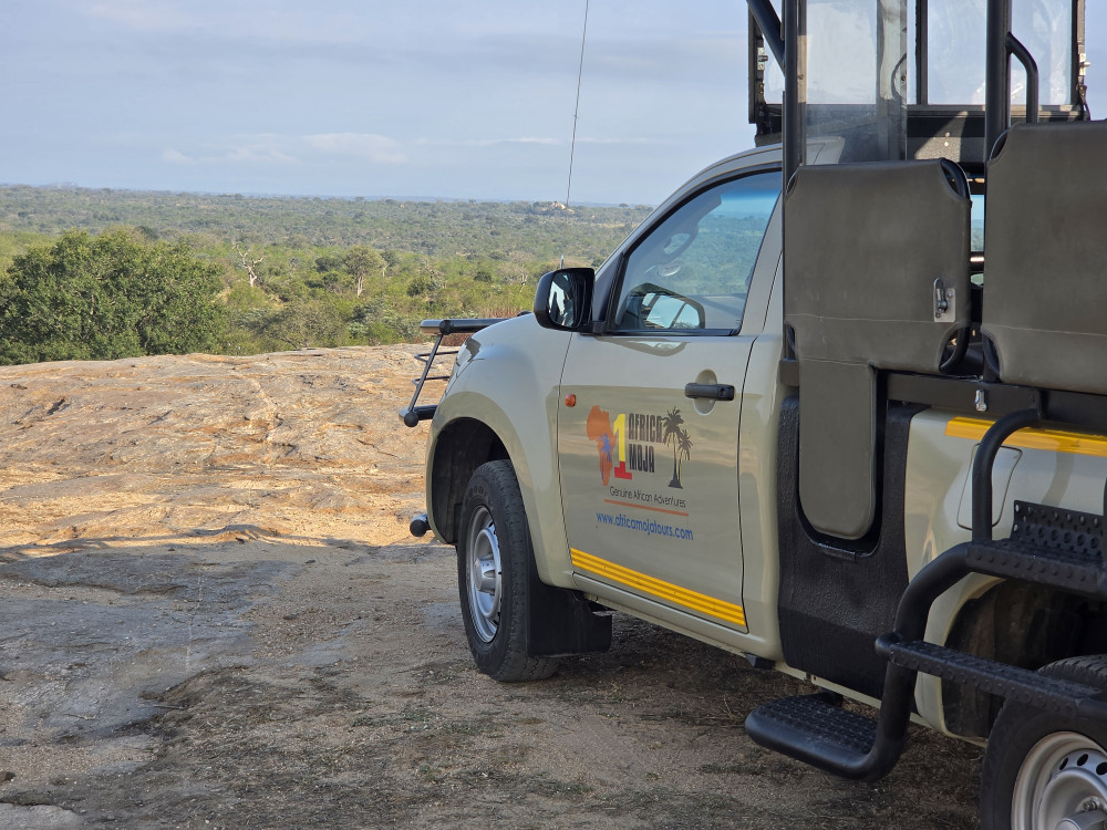 Kruger Safari from Cape Town – Tembo Guest Lodge