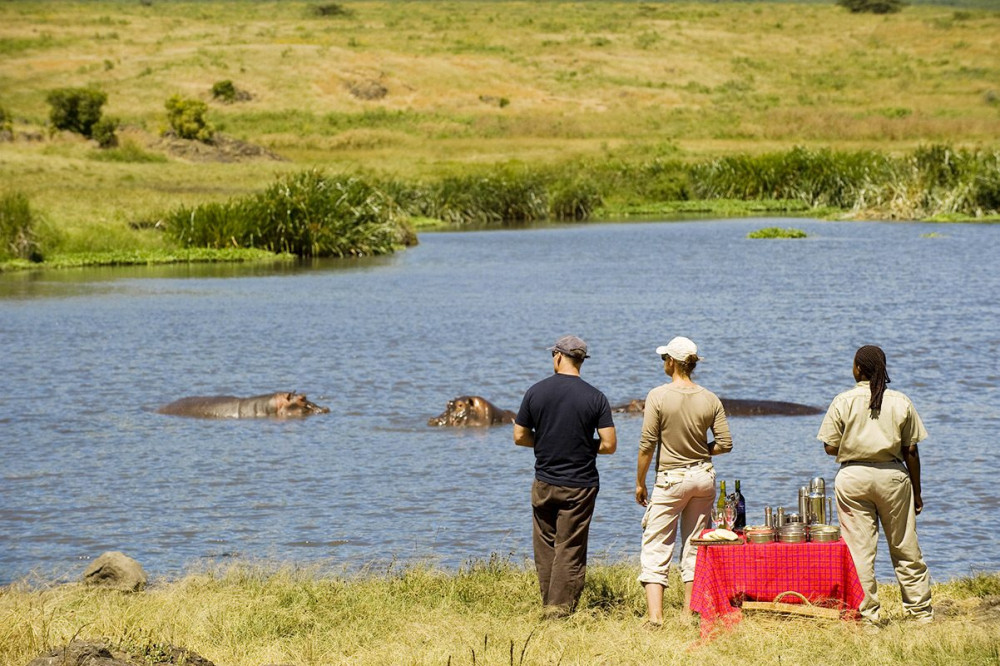 Safari with Comfortable Midrange Accommodations