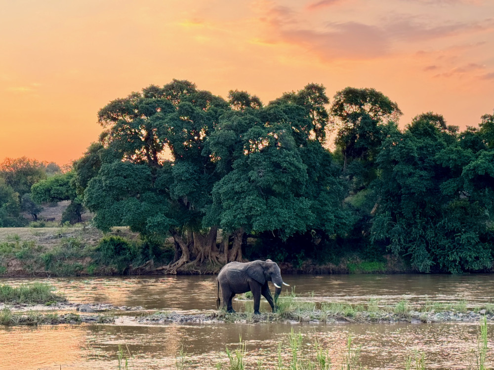 Kruger Package Bush and Elephants