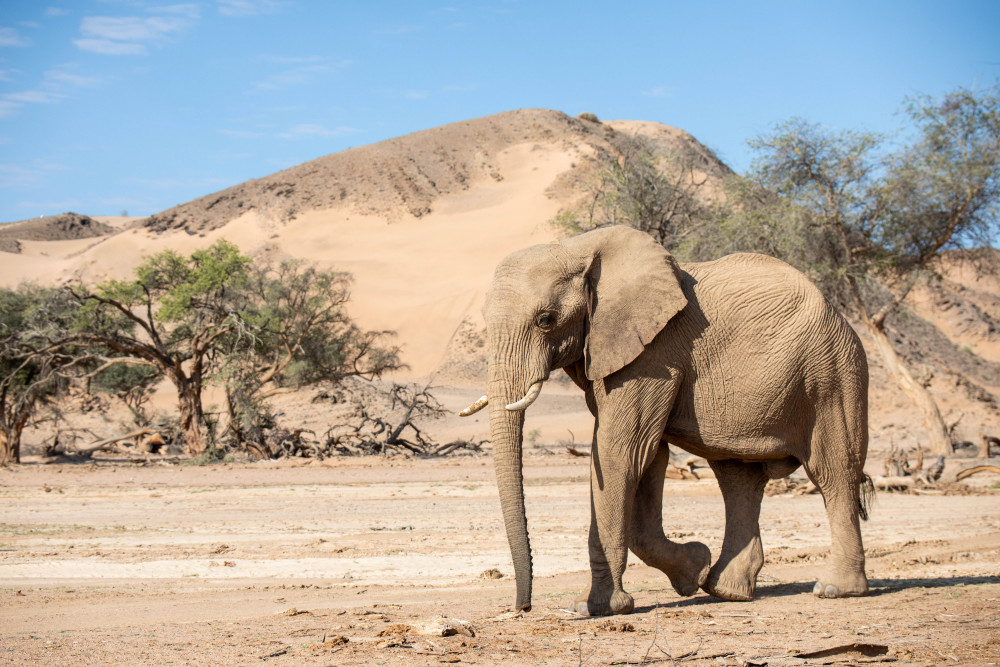 Discover Namibia Small Group Safari