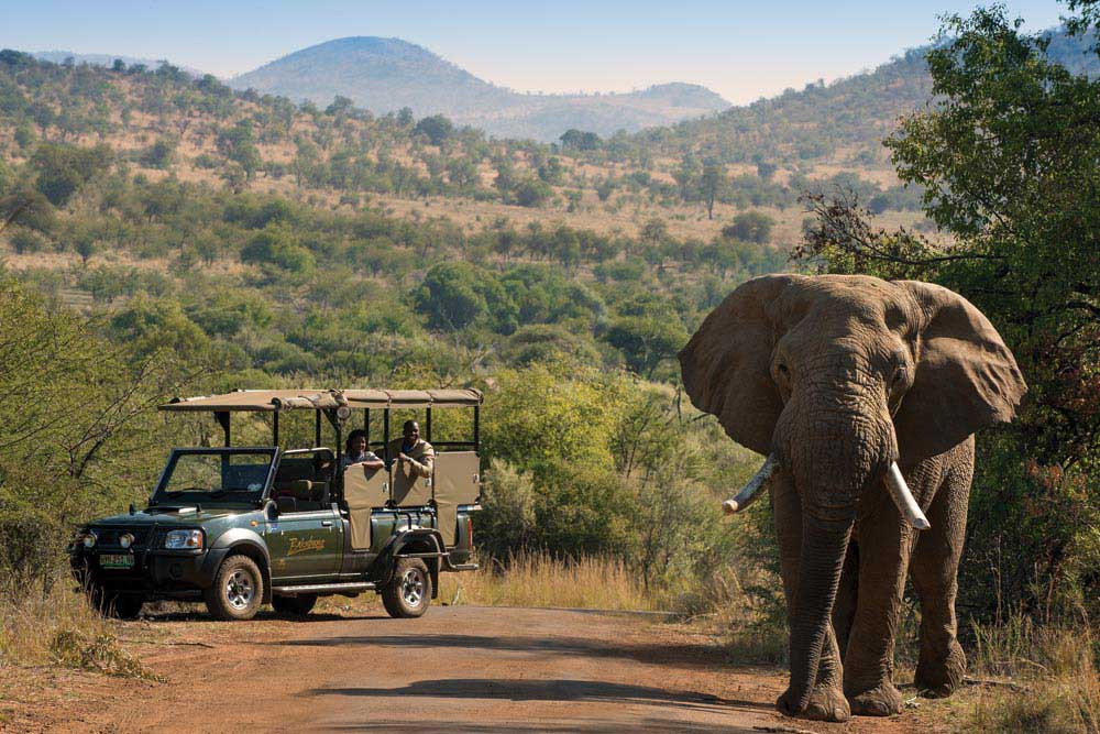 All Inclusive Big Five Safari Bakubung Pilanesberg