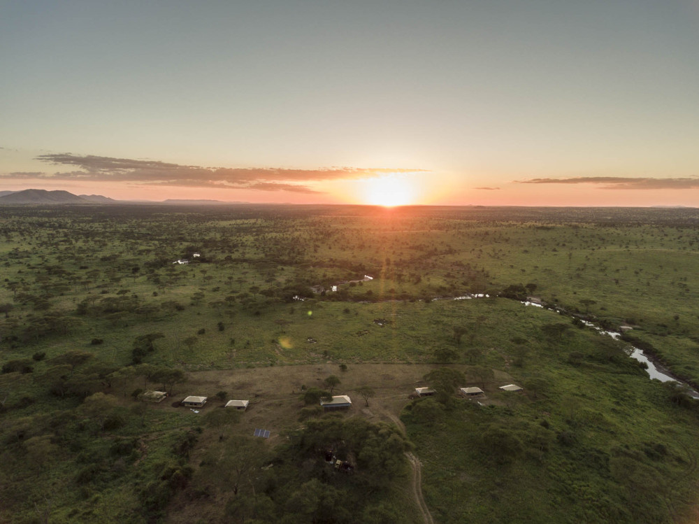 Great Wildebeest Migration Experience