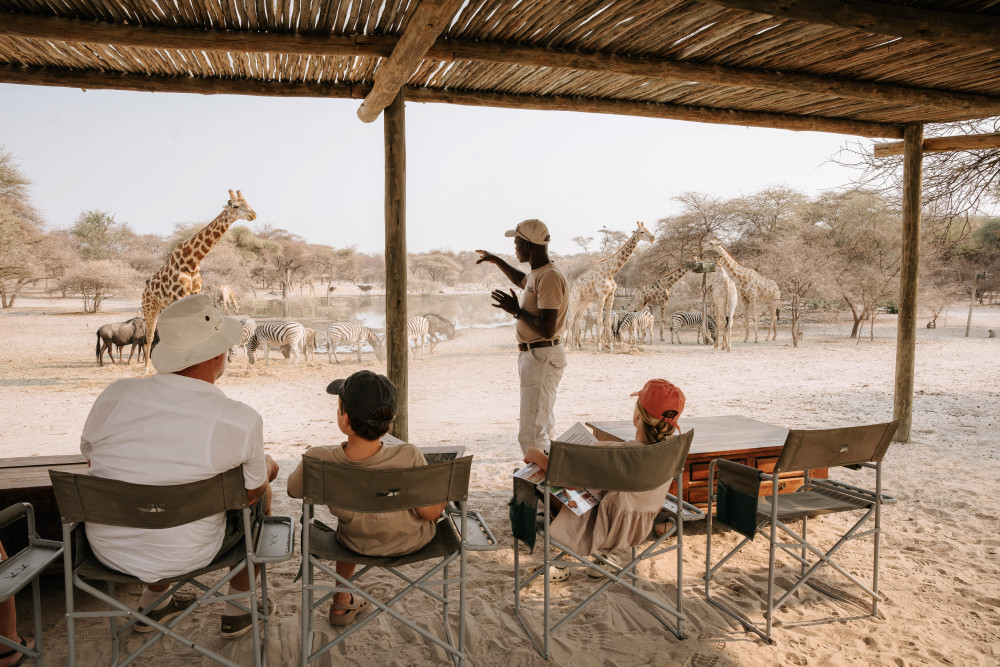 Giraffe Sundowners at a Private Game Lodge