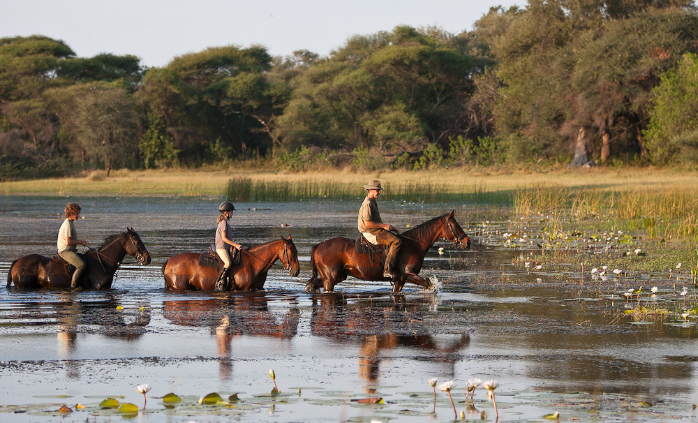 Horse Riding at a Private Reserve (Maun)