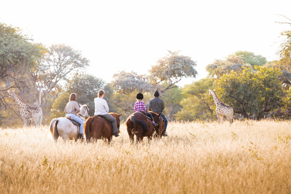 Horse Ride & Giraffe Sundowners at Private Reserve