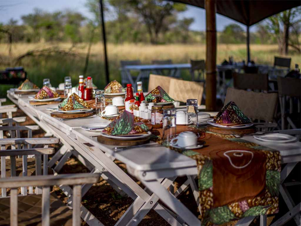Tanzania Big Five Luxury Safari