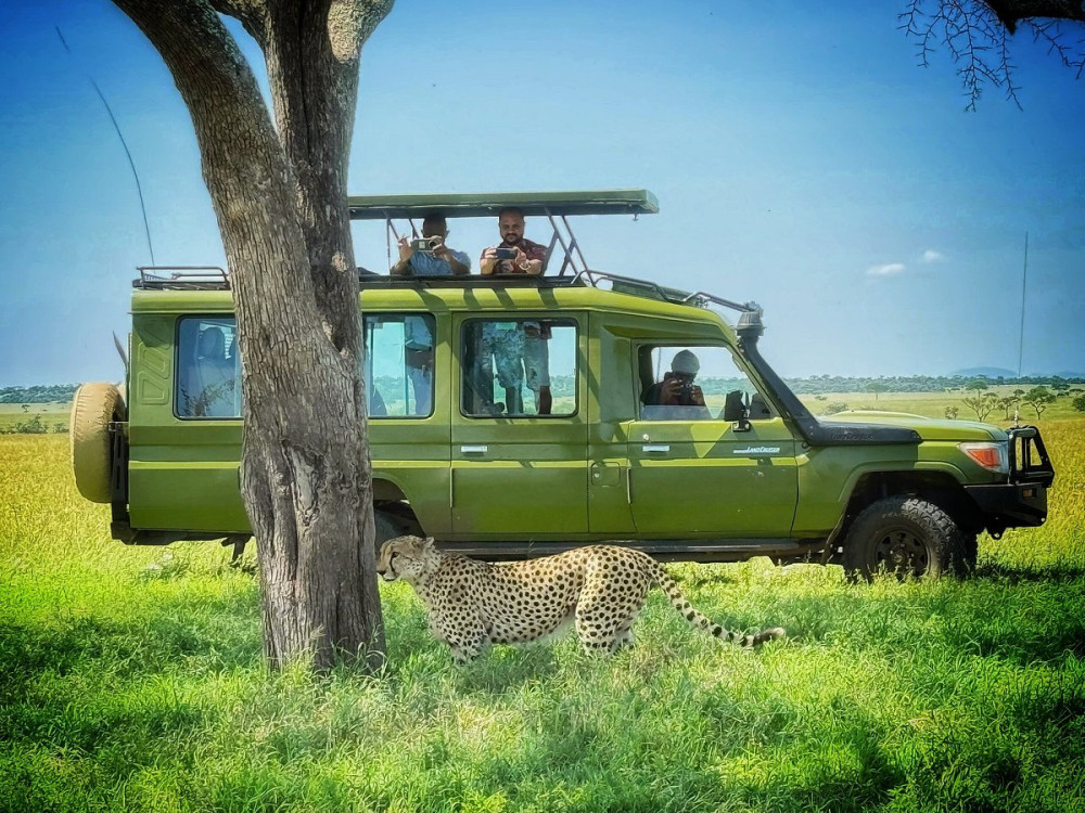 Couples Classic Safari & 2 Nights Serengeti