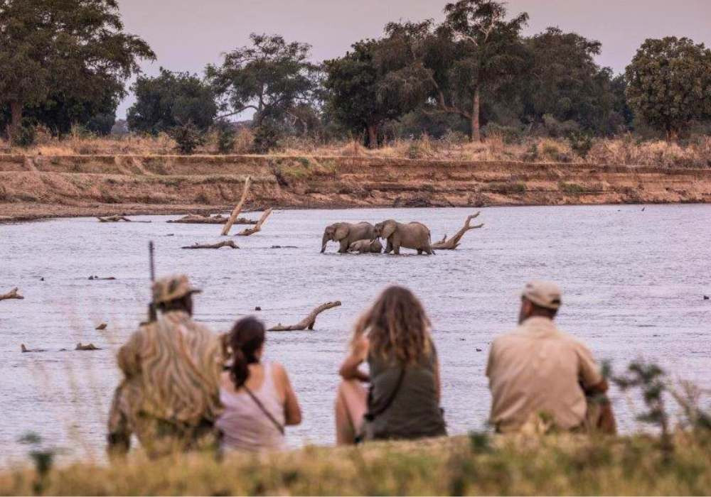 Best of Luangwa