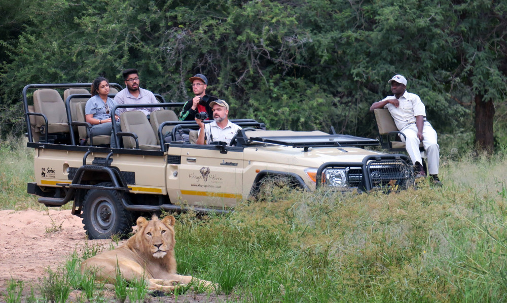 Kruger Park & Private Game Reserve Safari