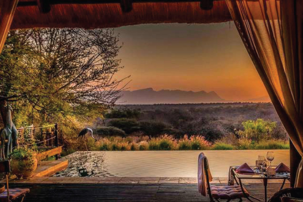 Kruger Park & Private Lodge Safari Adventure