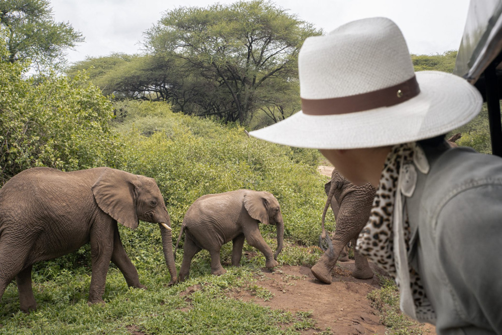 Tanzania Private Budget Safari to Iconic Parks