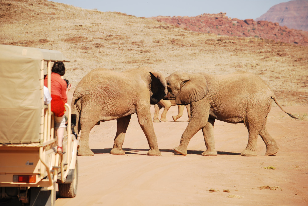 Namibia Classic Accommodated Safari