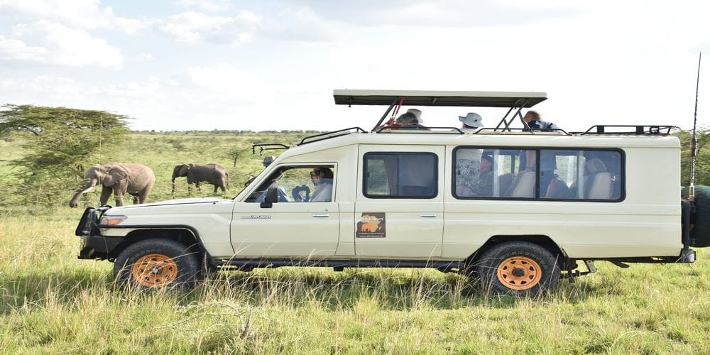 The Real Kenyan Safari Experience