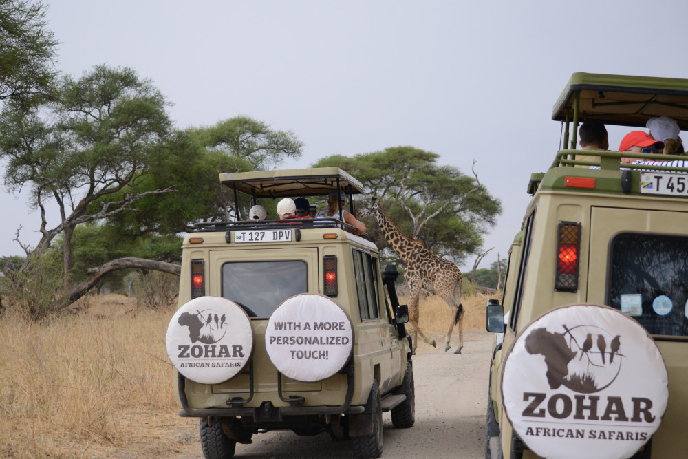 Serengeti , Ngorongoro & Zanzibar
