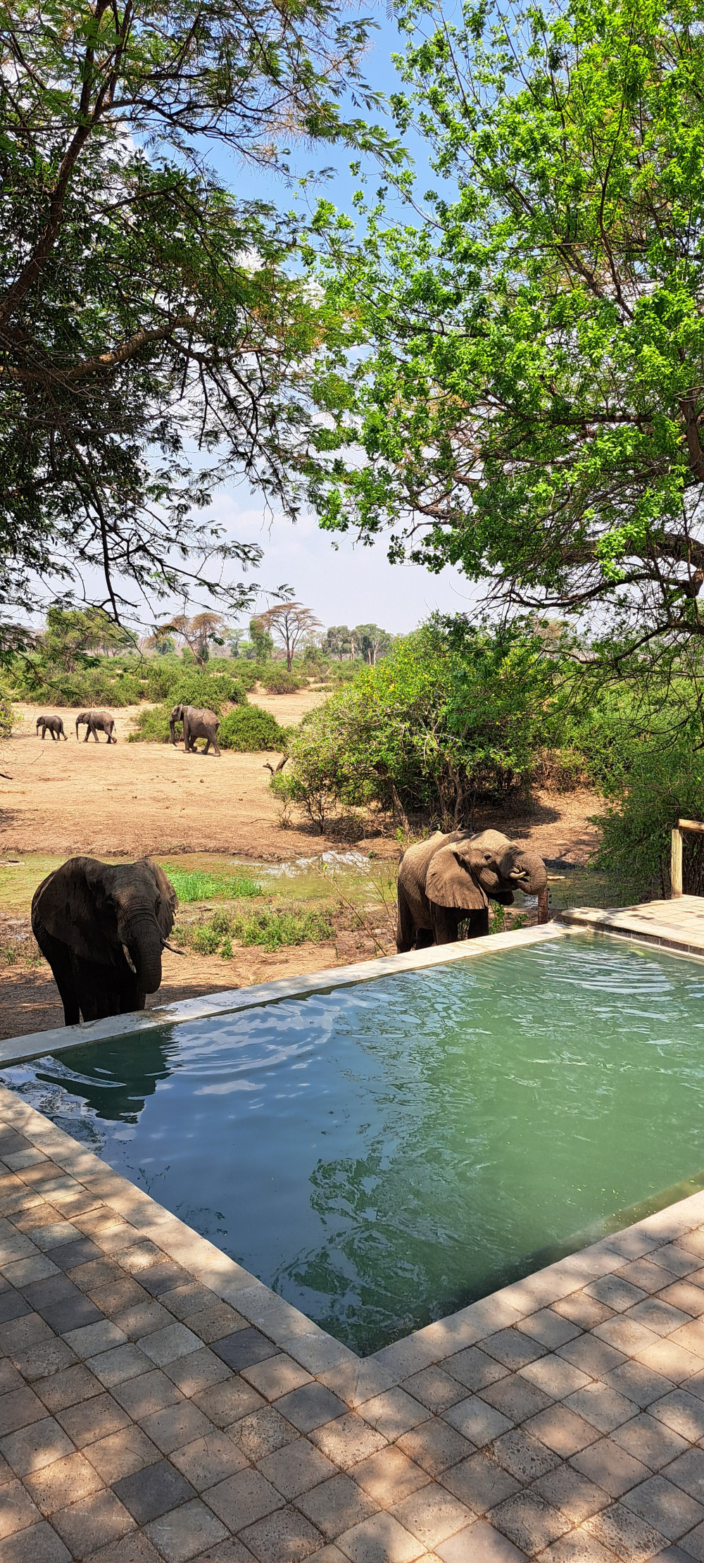 Victoria Falls Zambia and Chobe Safari Adventure