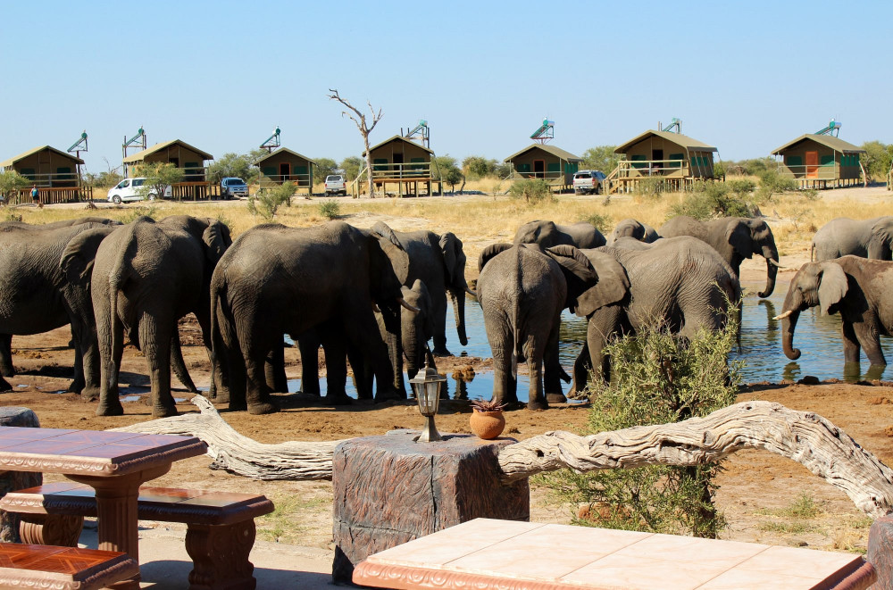 Victoria Falls to Elephant Sands