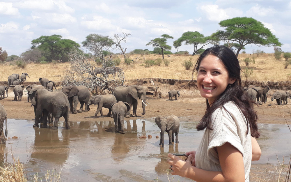 Plus, Walking Along Wildlife from Zanzibar