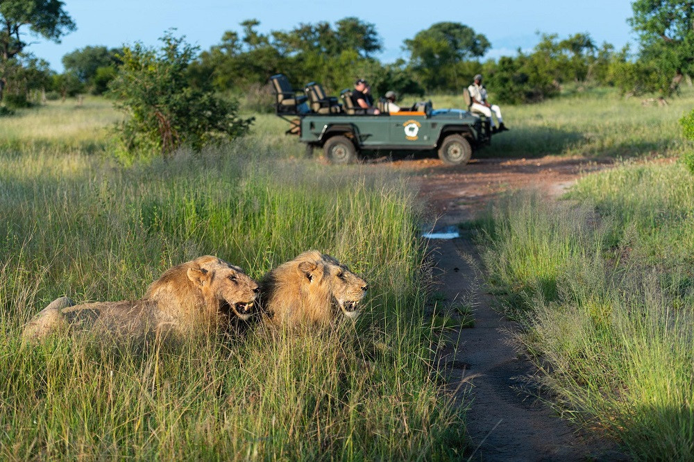 Kruger Kambaku Safari Lodge