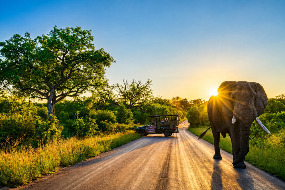 Kruger Safari - 4 Star Kruger Gate Hotel from Jhb