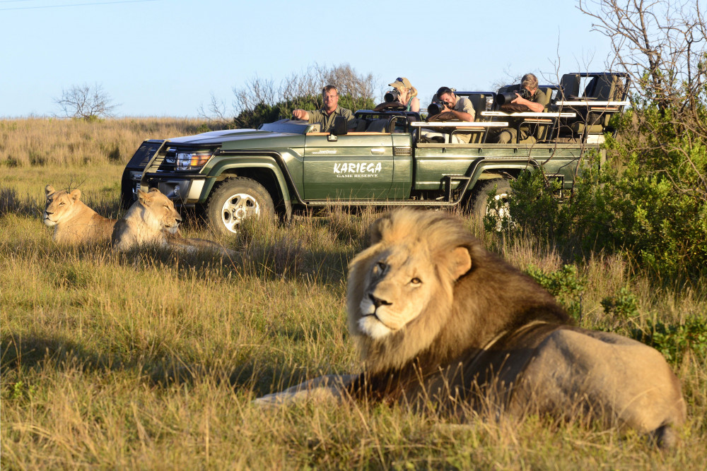 Eastern Cape Safari with Kariega Ukhozi Lodge