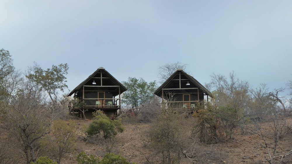 Greenfire Lodge Safari in the Greater Kruger