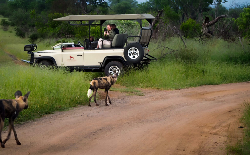 Kruger, Private Reserve and Panorama Tour