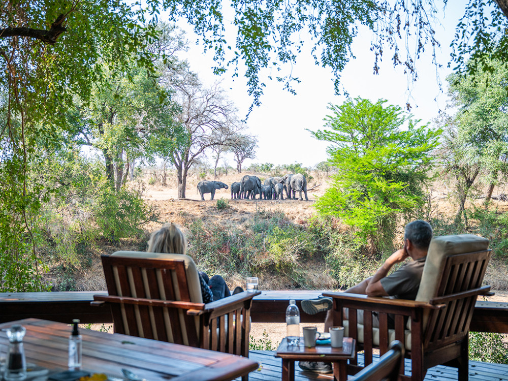 Imbali Lodge Safari Tour
