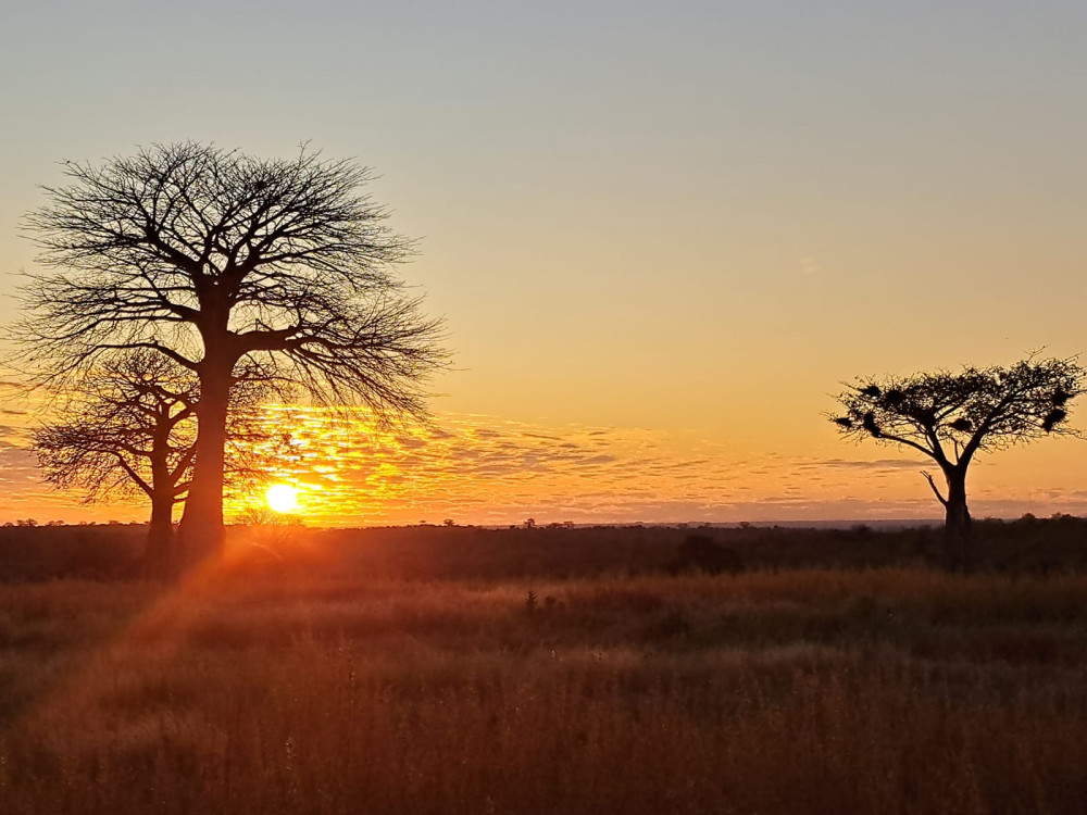 Ngorongoro Crater & Serengeti NP Camping Safari