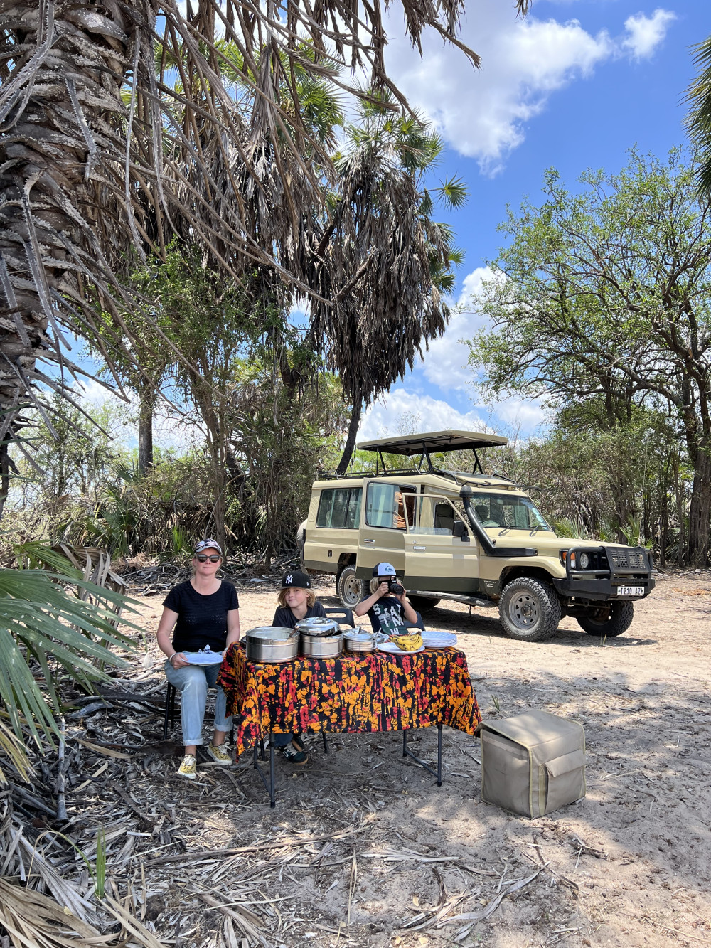 Drive in & out Nyerere National Park