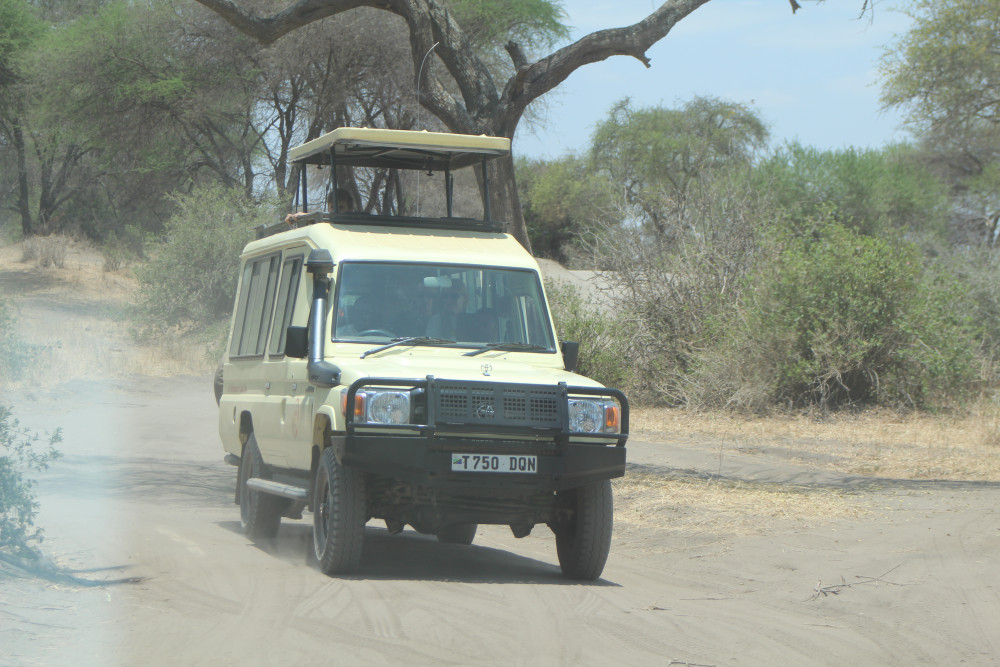 Twende Safari | Tanzania