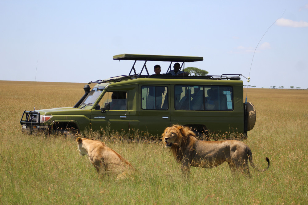 Fly in from Zanzibar - Serengeti & Ngorongoro