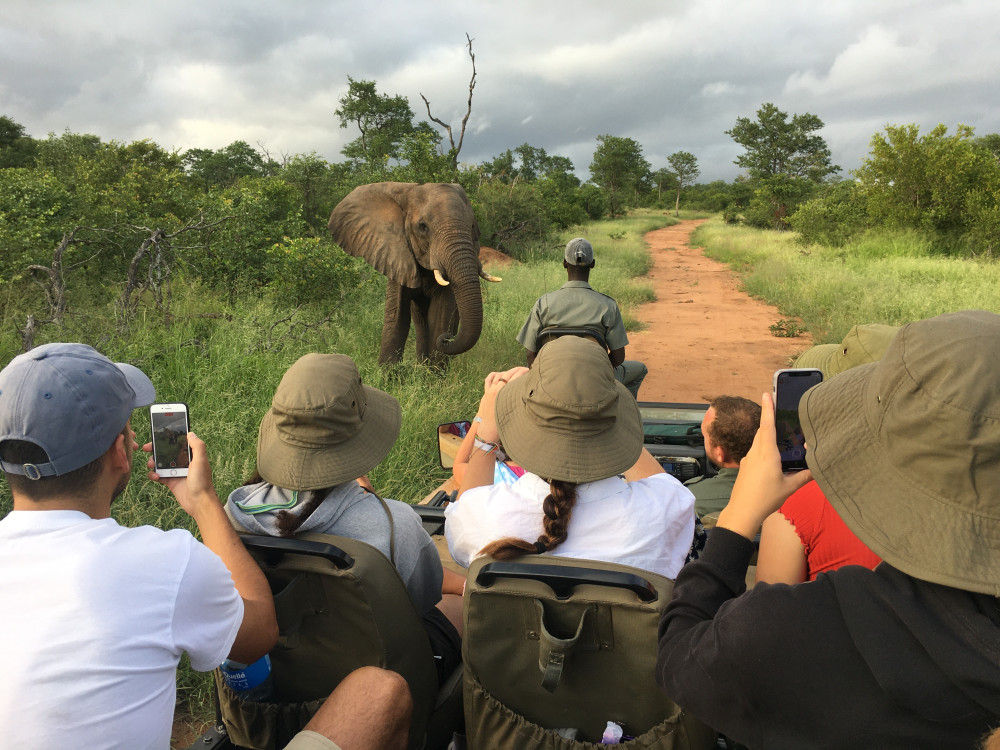 Immersive Kruger National Park Experience