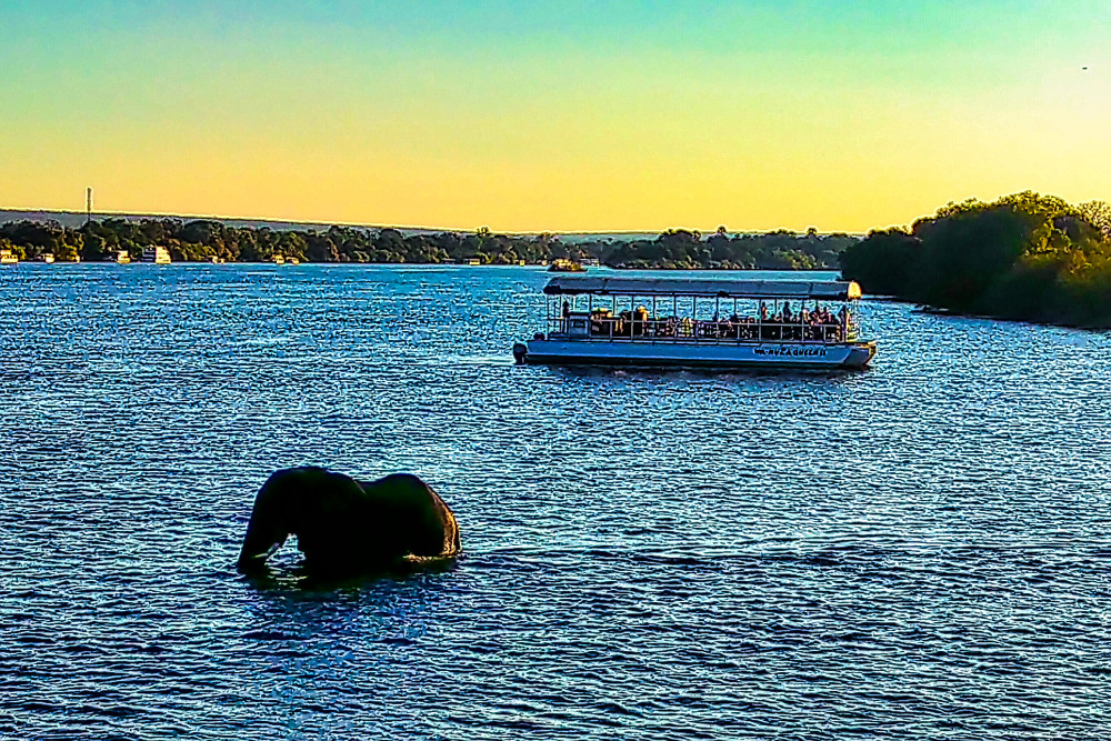 Zimbabwe 2 Hour Sunset Game Cruise on the Zambezi