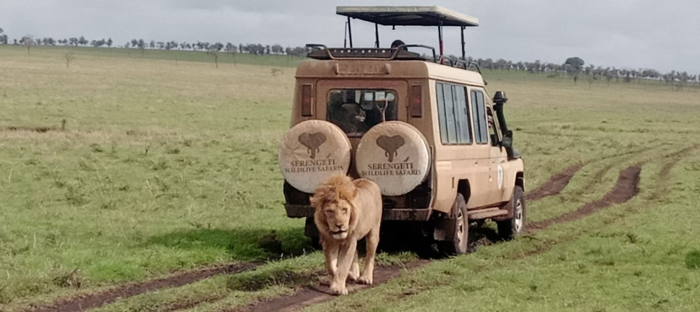 Tarangire Serengeti Ngorongoro & Kilimanjaro Hike