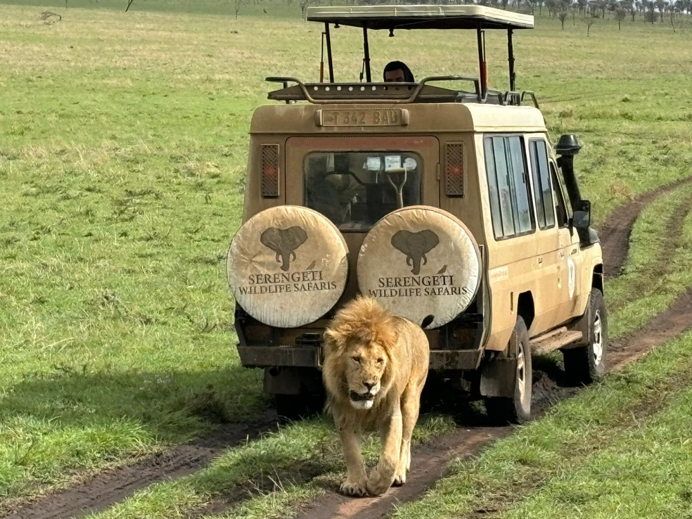 Zanzibar Budget Group Safari (Flights Included)