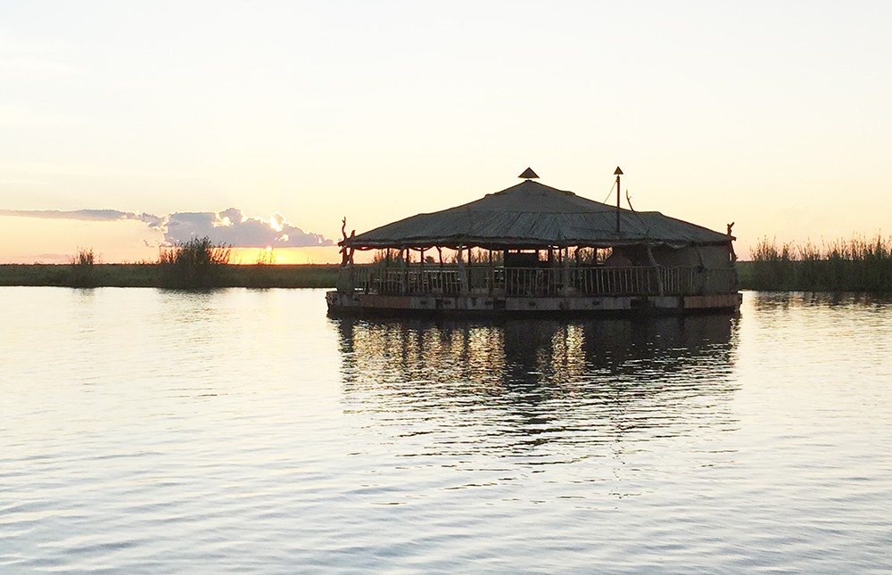 Game Drive & Lunch on Floating Restaurant Chobe