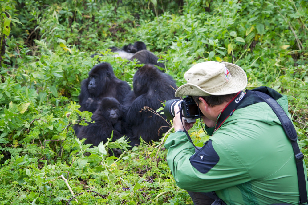 Uganda Budget Tour, Safari and Adventure