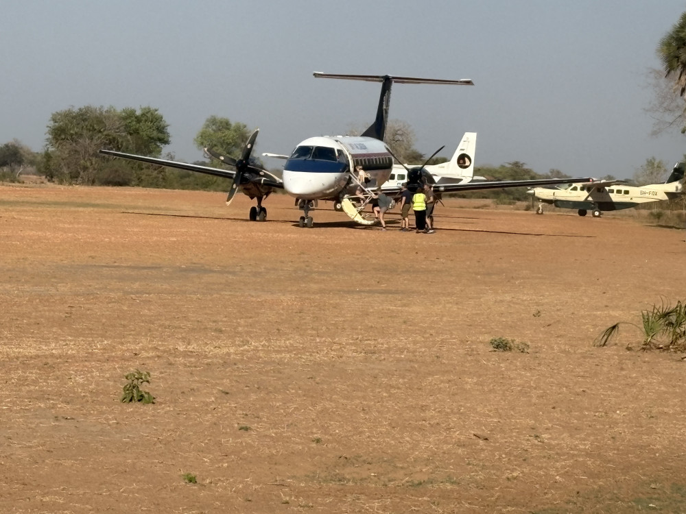 Private Fly-in Safari to Nyerere from Zanzibar